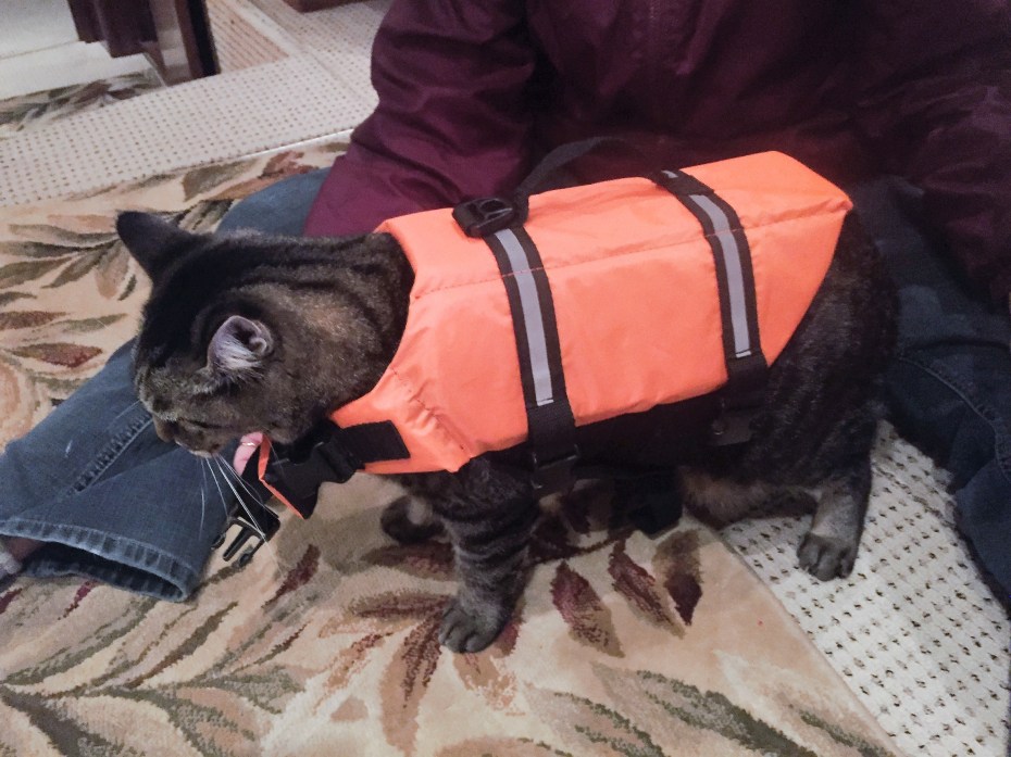 Boner with life jacket